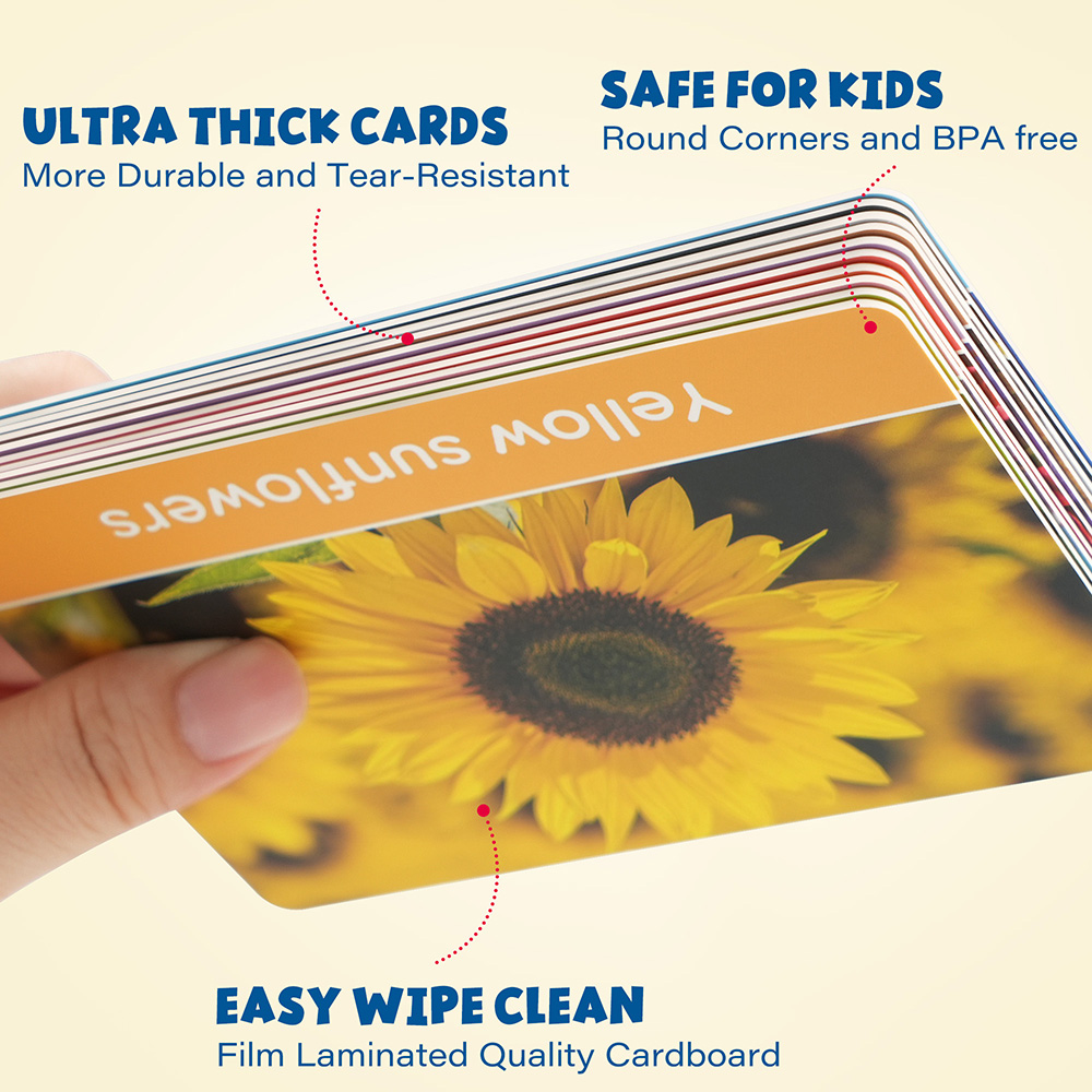Flash Cards for Toddlers, Doub - Flash Card Alphabet reseña y precio