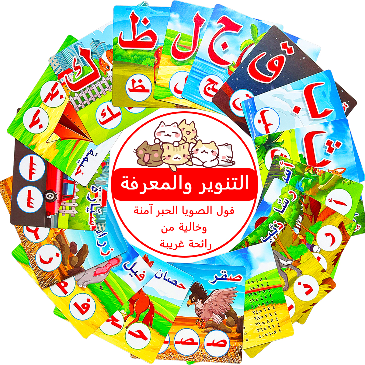 28Pcs Double Sided Arabic Alph - Flash Card Alphabet reseña y precio